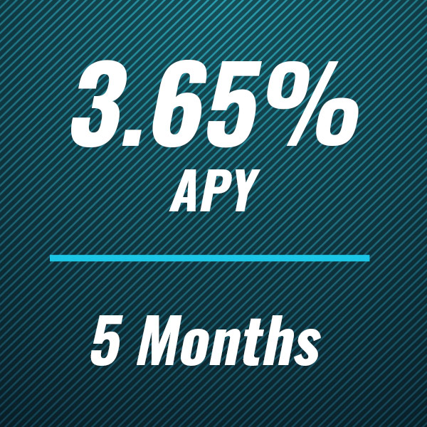 3.65% APR for 5 months CD