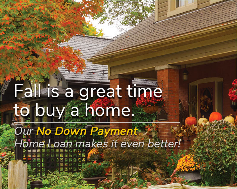 can you get home loan with no down payment