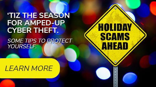 'Tiz the season for amped-up cyber theft. Some tips to protect yourself. Click to learn more.